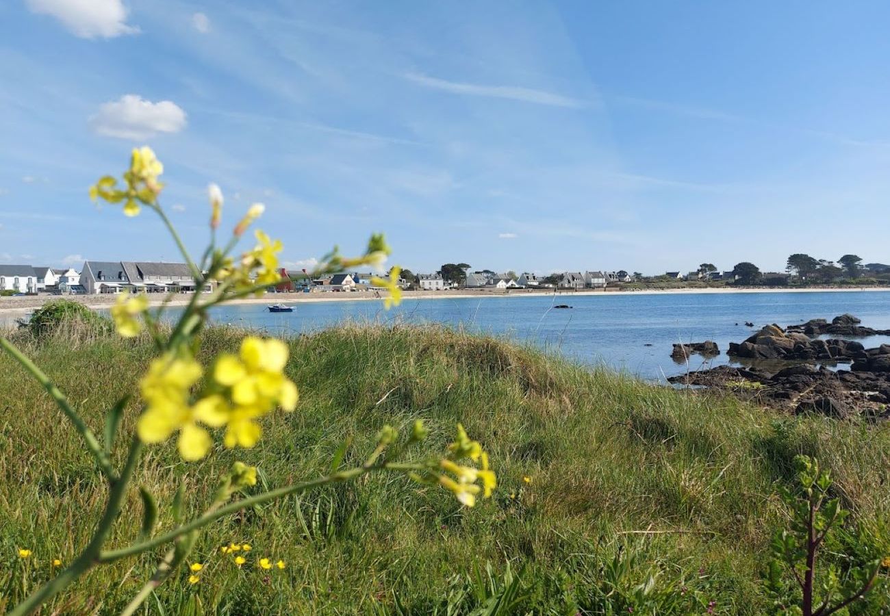 House in Plouguerneau - House Dolmen, authentic, cosy and just by the seaside