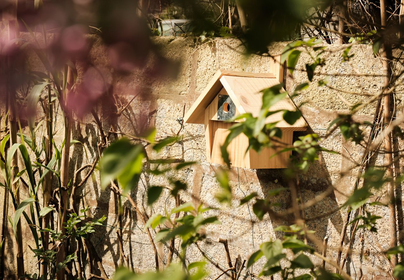 House in Plouguerneau - House Dolmen, authentic, cosy and just by the seaside