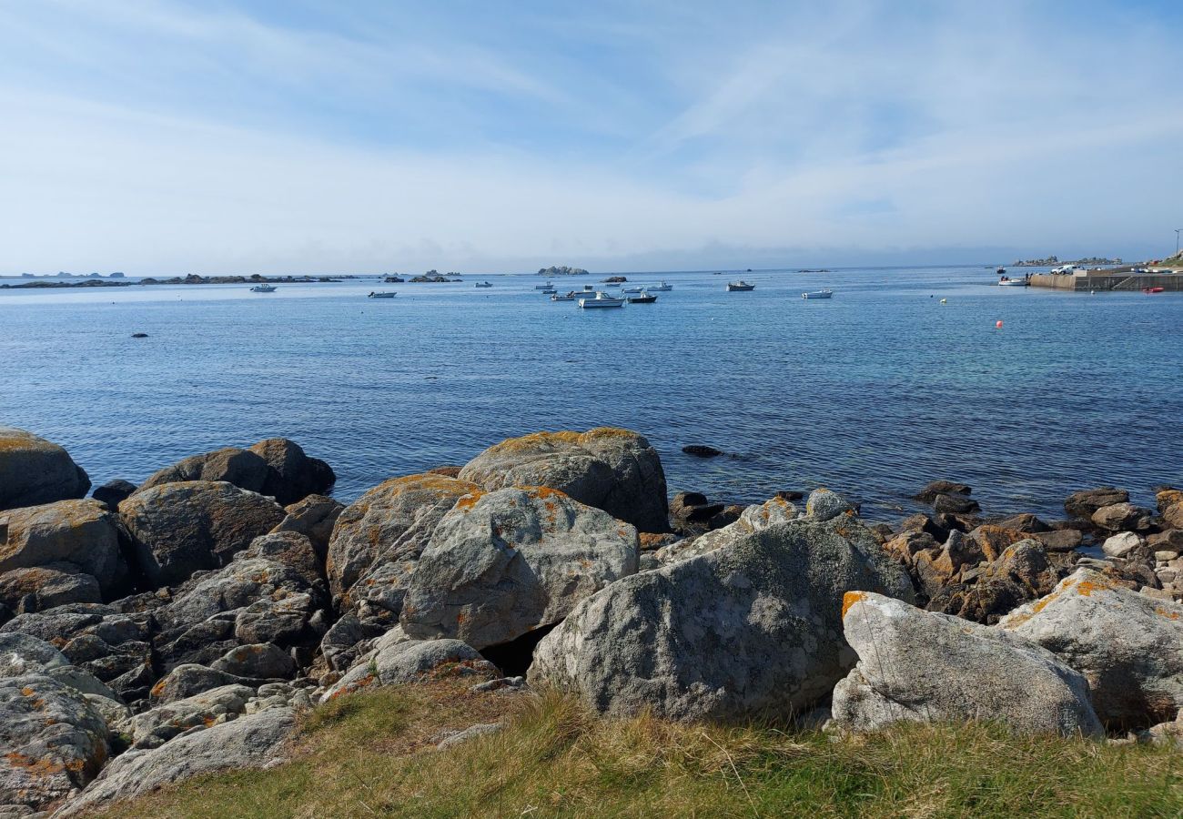 House in Plouguerneau - Aline's tiny house, pretty little stone house by the seaside