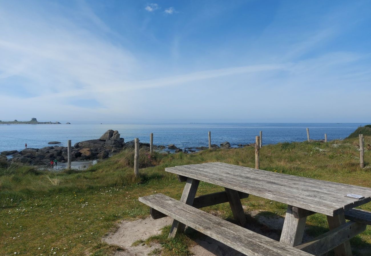 House in Plouguerneau - Aline's tiny house, pretty little stone house by the seaside