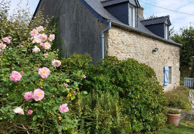 Maison à Plouguerneau - La maison d'Aline - jolie maison bretonne au bord de mer